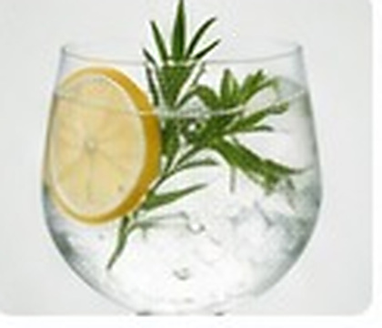 Gin Tonic
